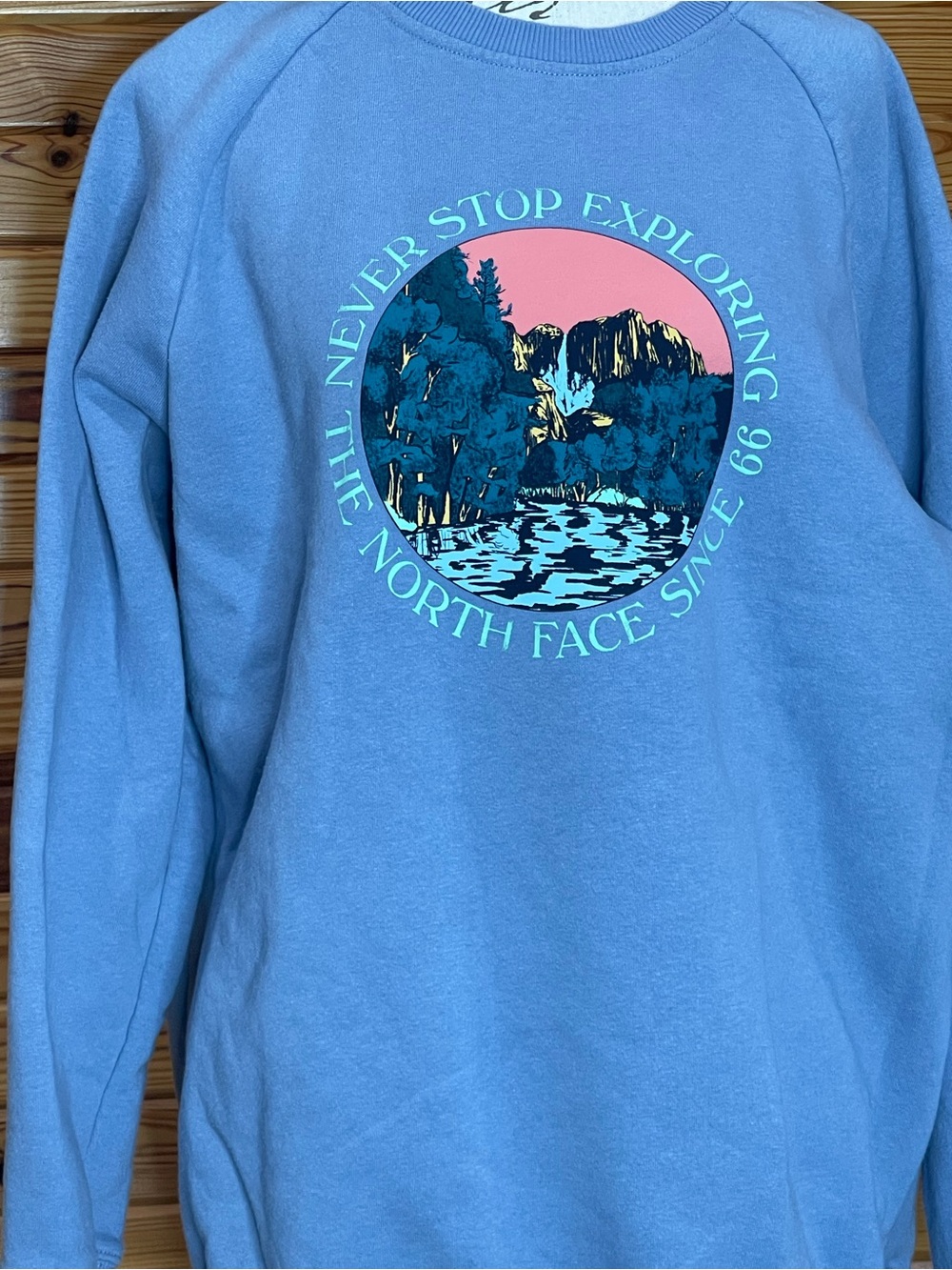 The North Face Light Blue Crewneck Sweatshirt - Picture 3 of 4